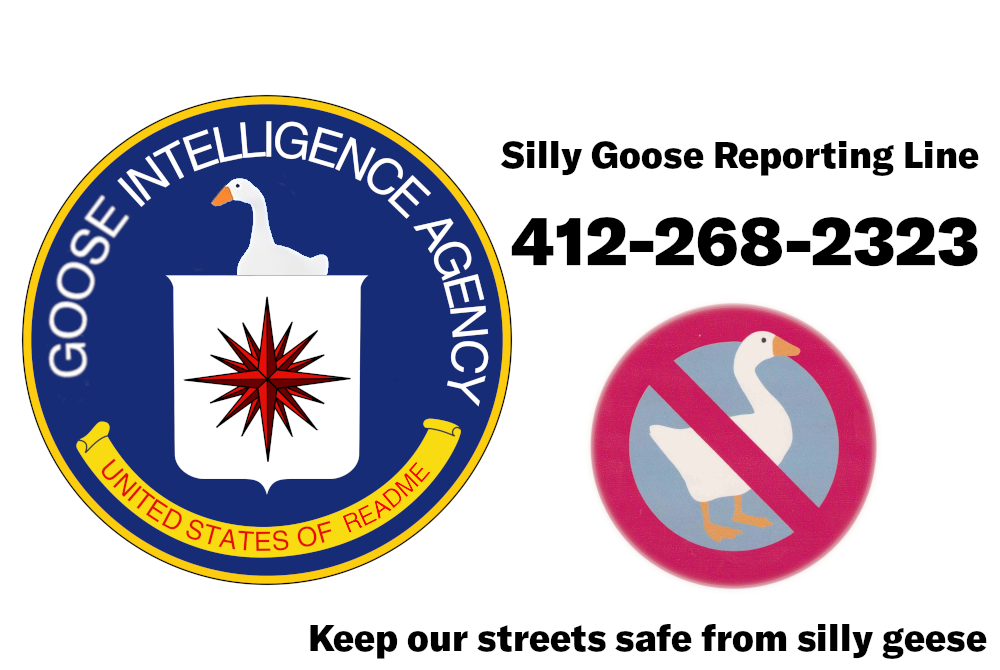 Silly Goose Reporting Line